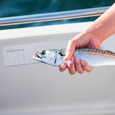 Woowave Marine EVA espuma barco de peixe medida regra de cor e tamanho personalizados para a pesca